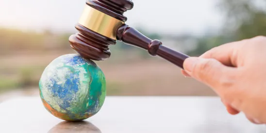 Sustainable Energy & Infrastructure Litigation Updates