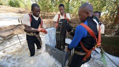 Four men stand in a pool of fast flowing water extracting tiger prawns from a net