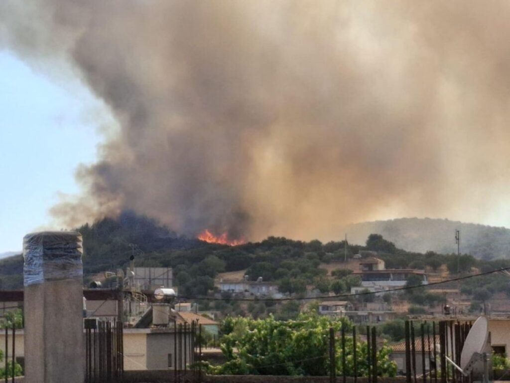 Wildfire Near Thessaloniki Sparks Major Emergency Response