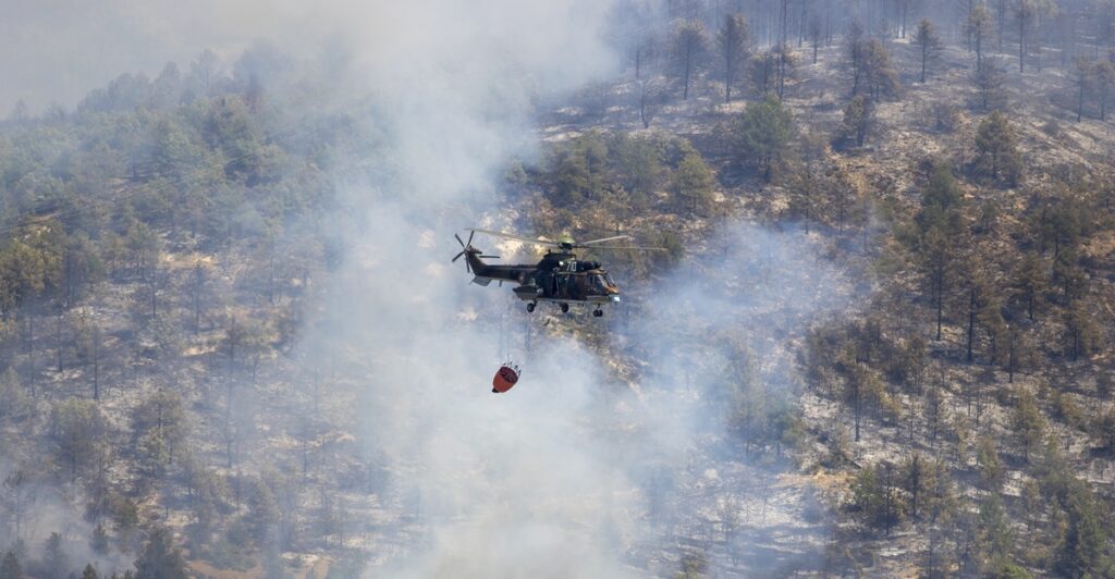 More than 1000 fires in Bulgaria in past week alone – The Sofia Globe