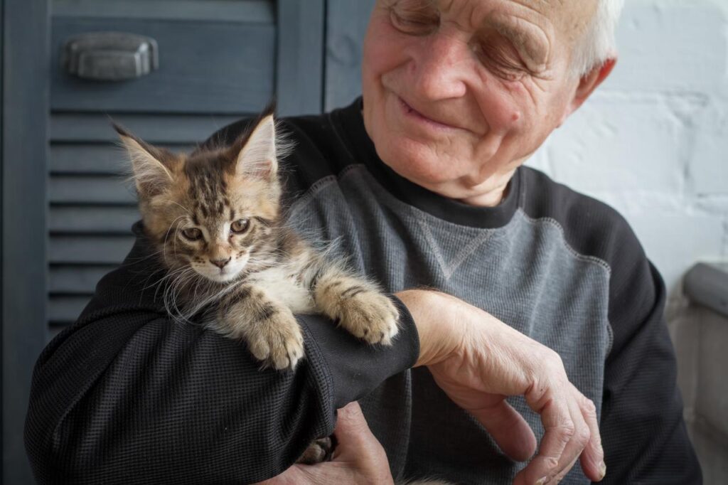 An elderly man smiles warmly while holding a kitten in his arms. (Adobe Stock Photo)