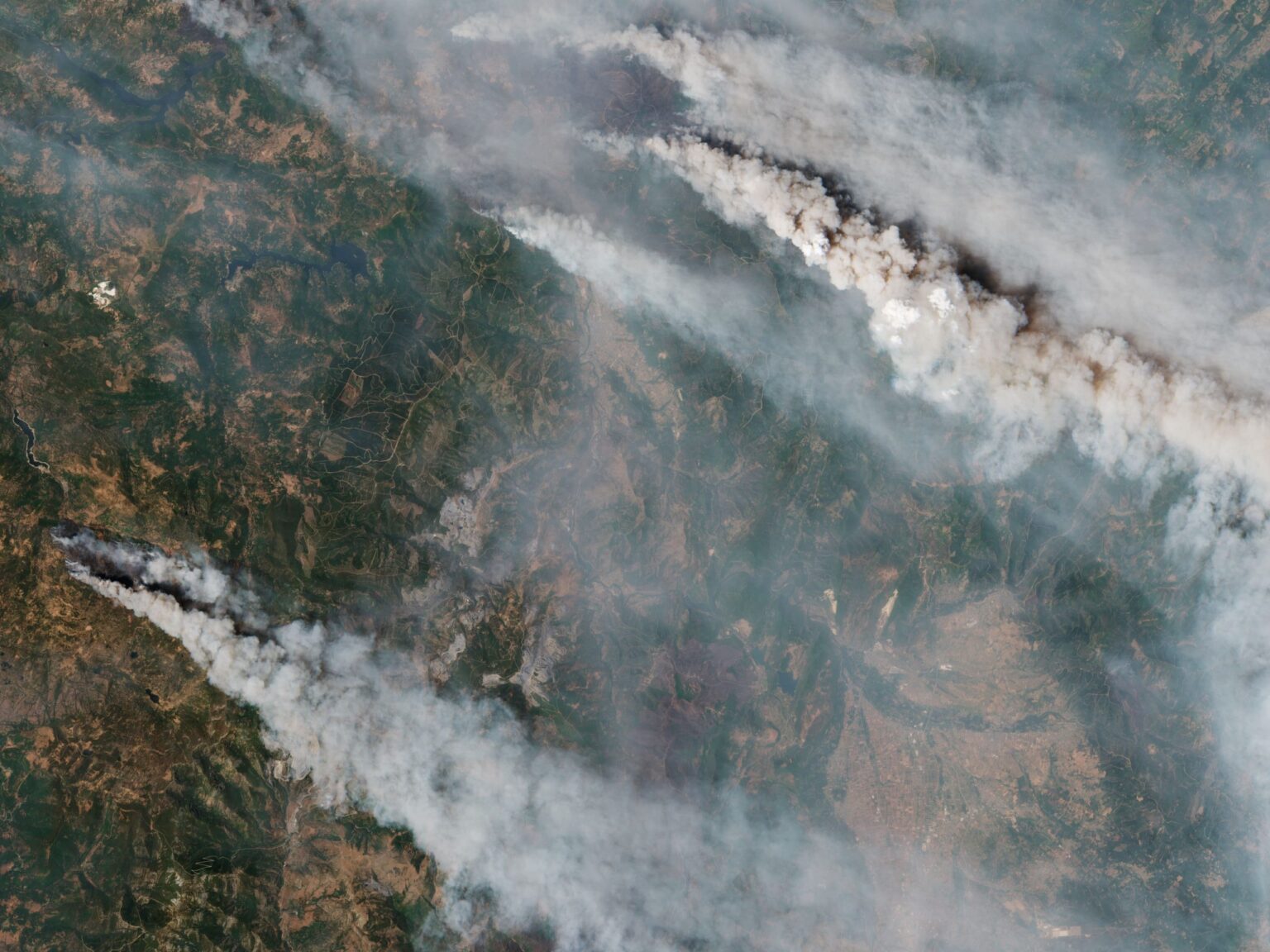 satellites show massive forest fires