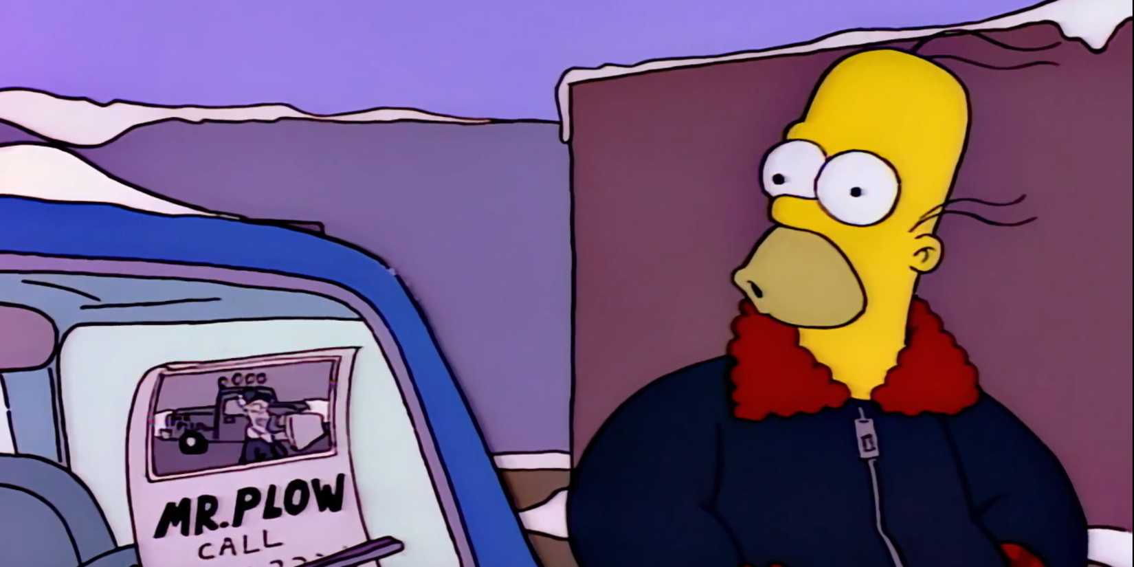 Homer next to a flyer that says "Mr. Plow" in the Mr. Plow episode of The Simpsons.