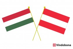 Hungarian Foreign Minister Sharply Criticizes Austrian President Van der Bellen - Vindobona.org