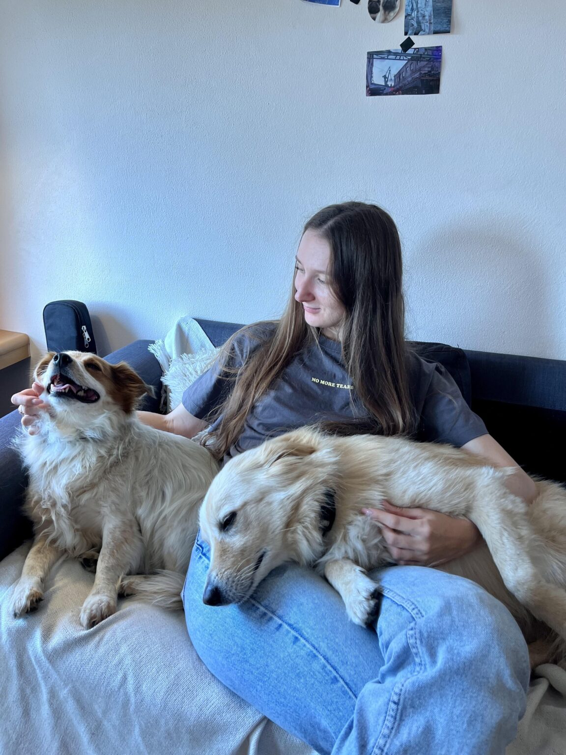 Want to watch your pets and become a new friend in Batumi or Tbilisi?