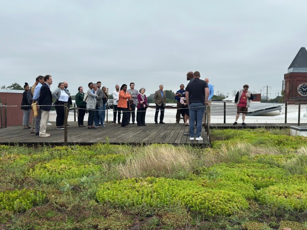 Green Roof on top of the Social Profit Center at...