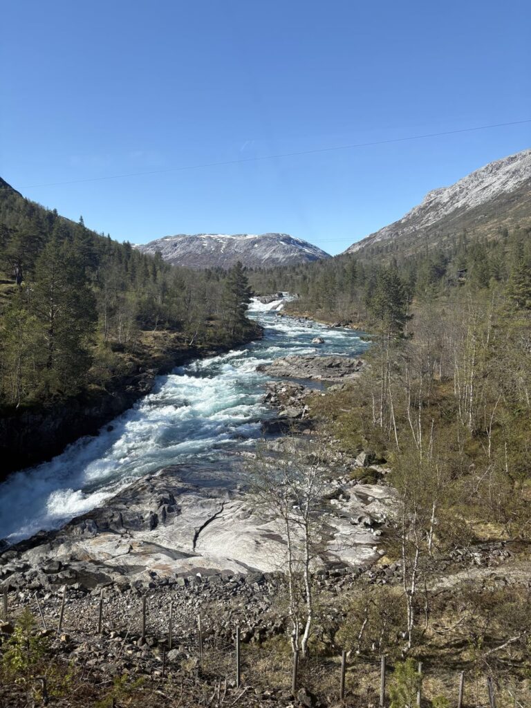 My favorite photos from my trip to Norway in May.