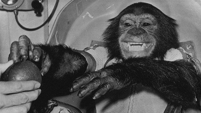 Induct space chimps, Ham & Enos, into the Astronaut Hall of Fame