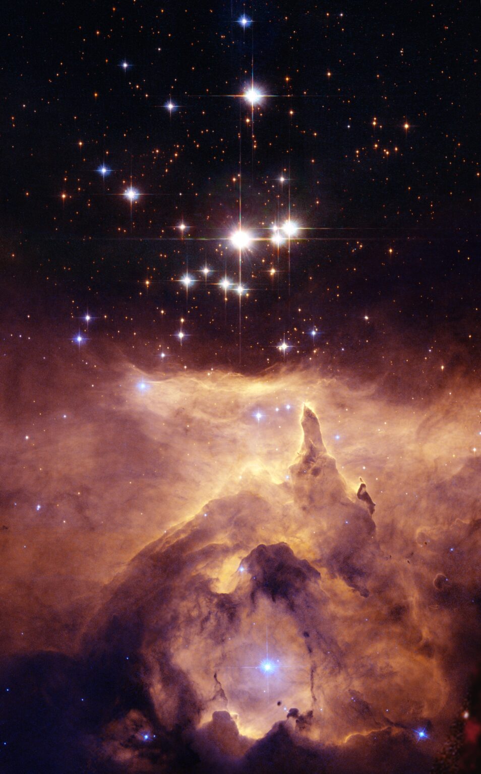 A cosmic garden