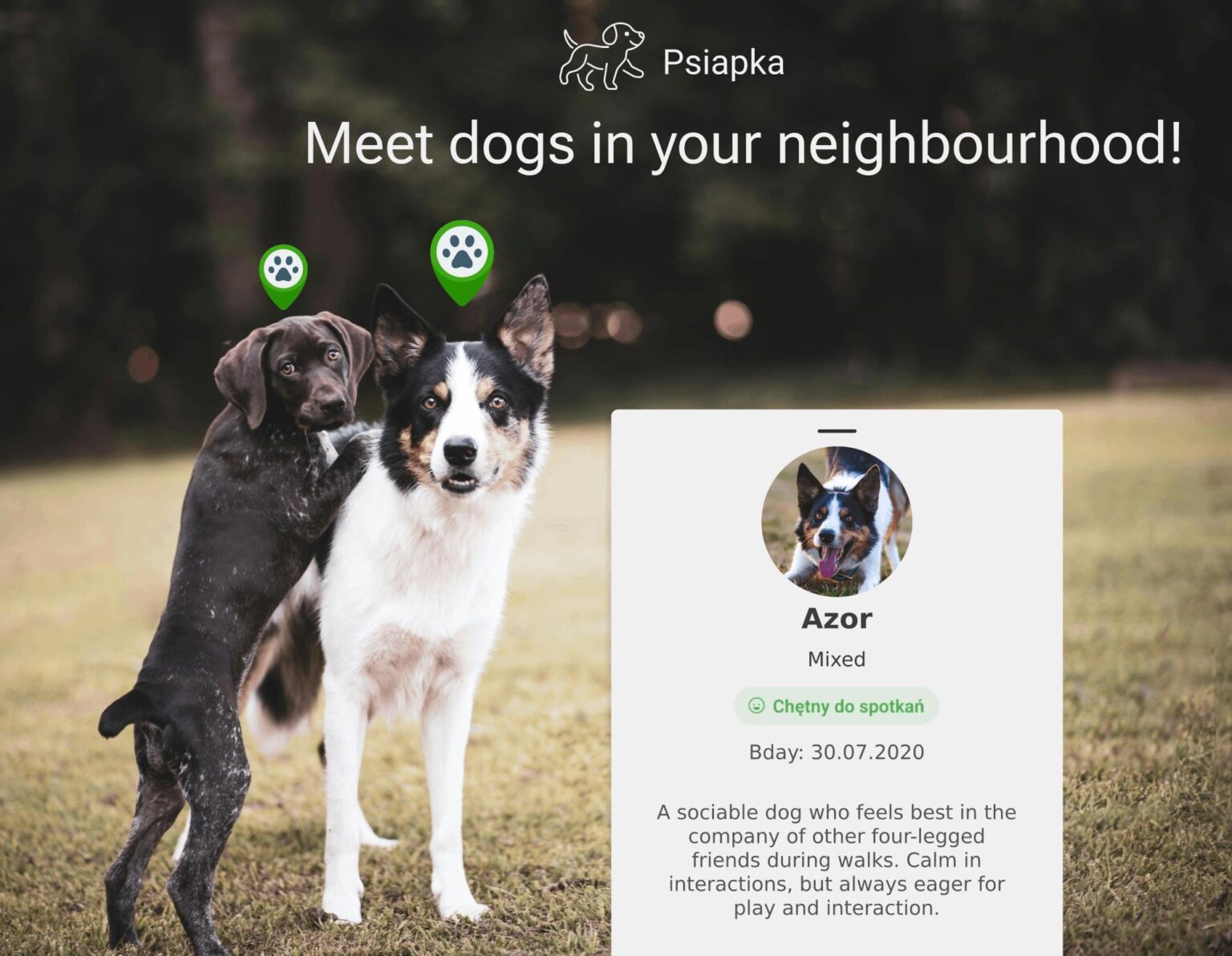"Meet hot dogs in your neighborhood"! A new app for dog owners