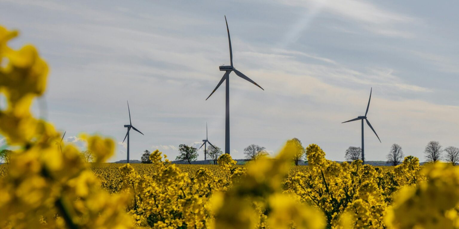 Poland’s new president vetoes bill loosening wind turbine law, freezing energy prices