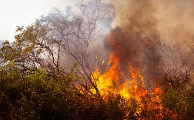 Bulgaria Faces Scorching Heat Today, Maximum Fire Risk and Strong Winds – Novinite.com Bulgaria: Bulgaria Faces Scorching Heat Today, Maximum Fire Risk and Strong Winds