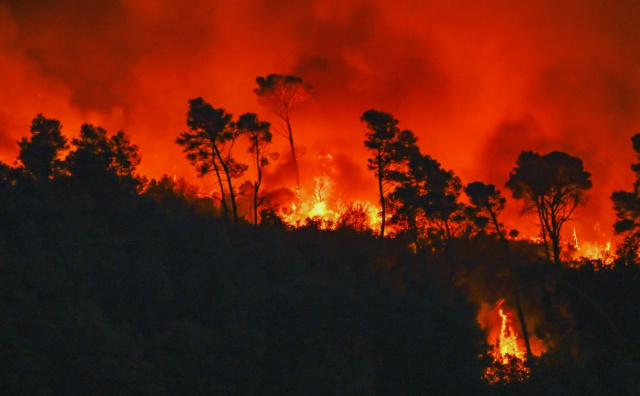 Bulgaria: Massive Wildfires Devastate Spain, Prompting Arrests and International Aid