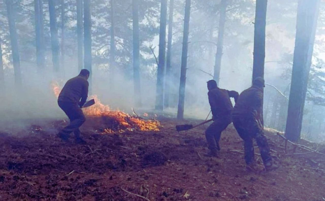 Bulgaria: Bulgaria: Fire in Pirin Near Ilindentsi Still Not Fully Extinguished