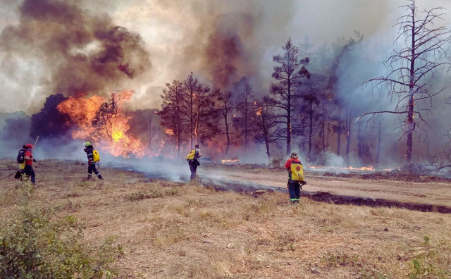 Bulgaria: Bulgaria Allocates 7 Million Euros to Equip Disaster Response Volunteers