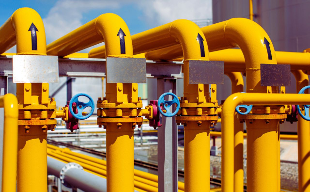 Bulgaria: Bulgaria Approves Lower Natural Gas Price for September, Down 2.5%