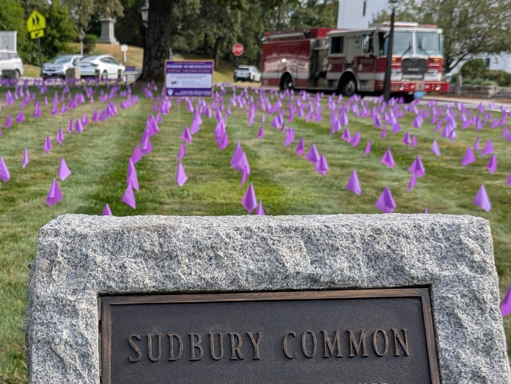Overdose Awareness & Opioid Settlement Funds » Health Department