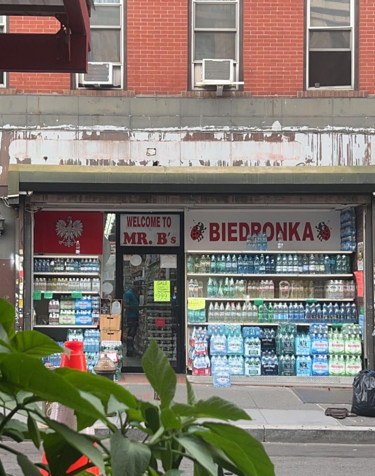 i see your biedronka in liverpool, i raise you a biedronka in greenpoint, ny