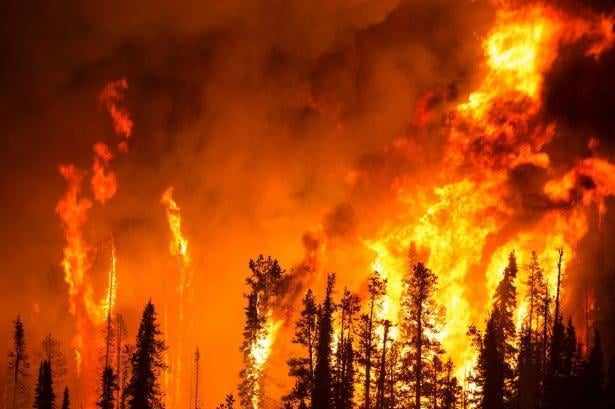 How Greek Forest Laws feed on arson