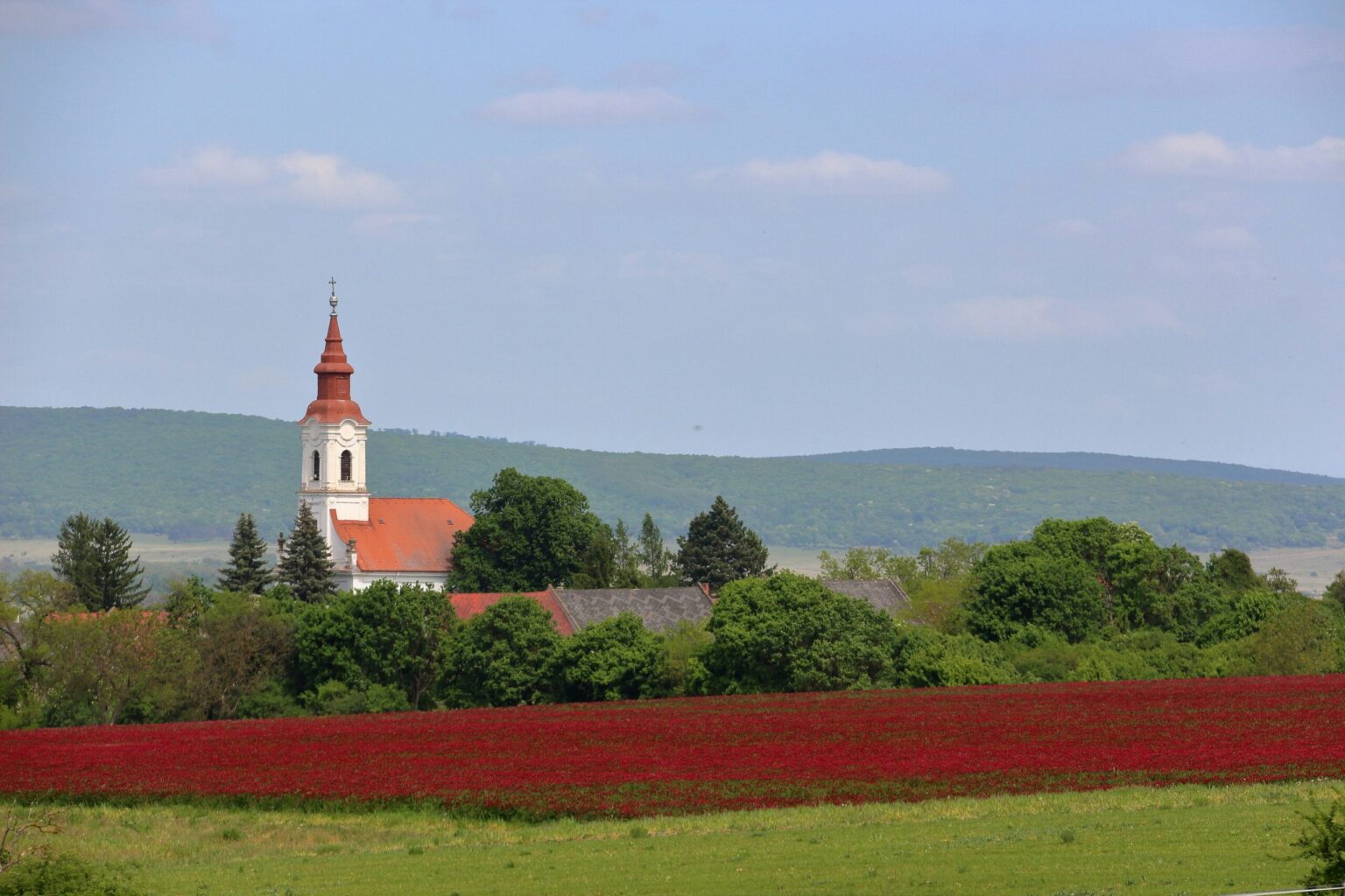 Massive Investment May Change the Face of Slavonia Forever