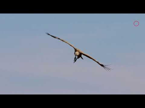 Photography in Samshilde | Aragviani