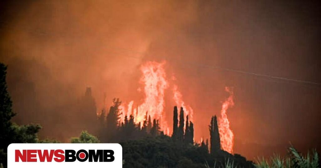 42 fires with a great deal of danger and dispersal across the country remain active 42 fires with a great deal of danger and dispersal across the country remain active