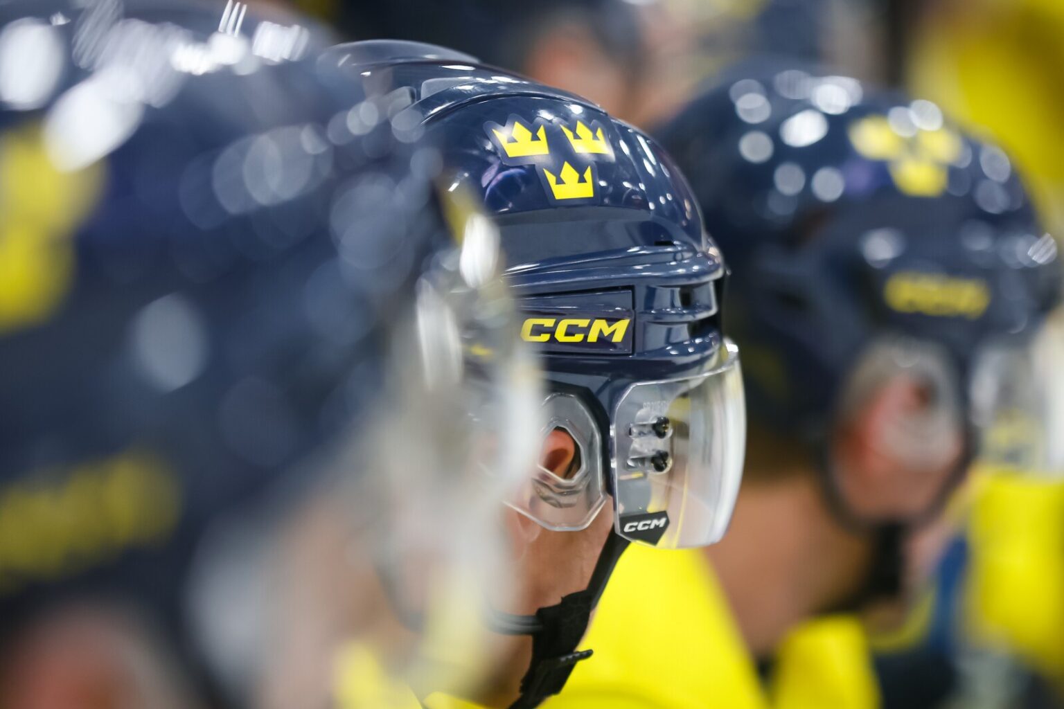 UMD was always the dream for Swedish goaltender - Duluth News Tribune