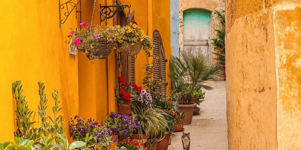 What to Do in Gozo Malta Travel Guide