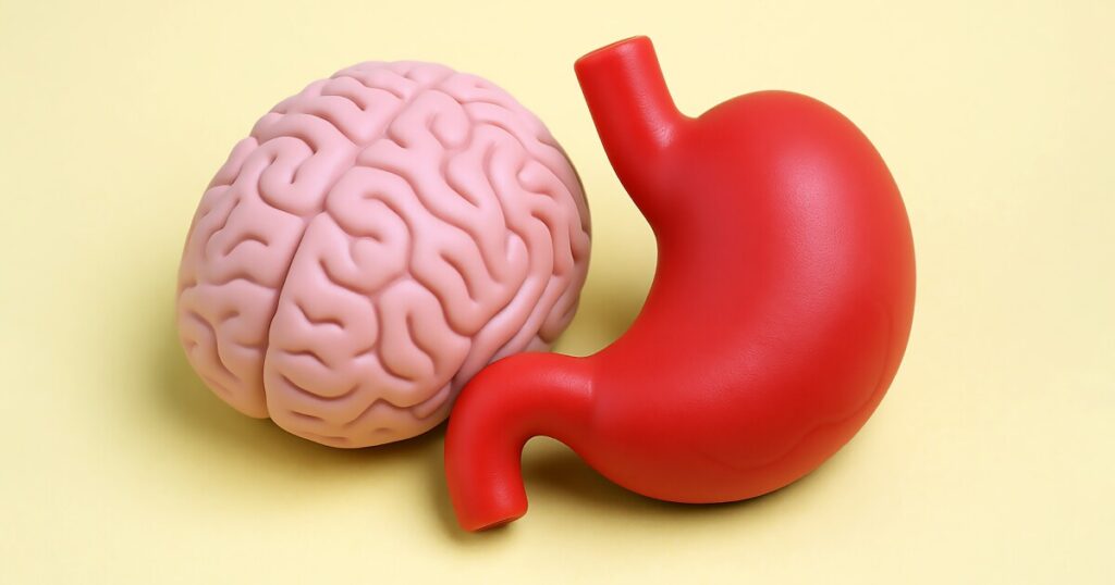 Strong gut-brain link may worsen mental health