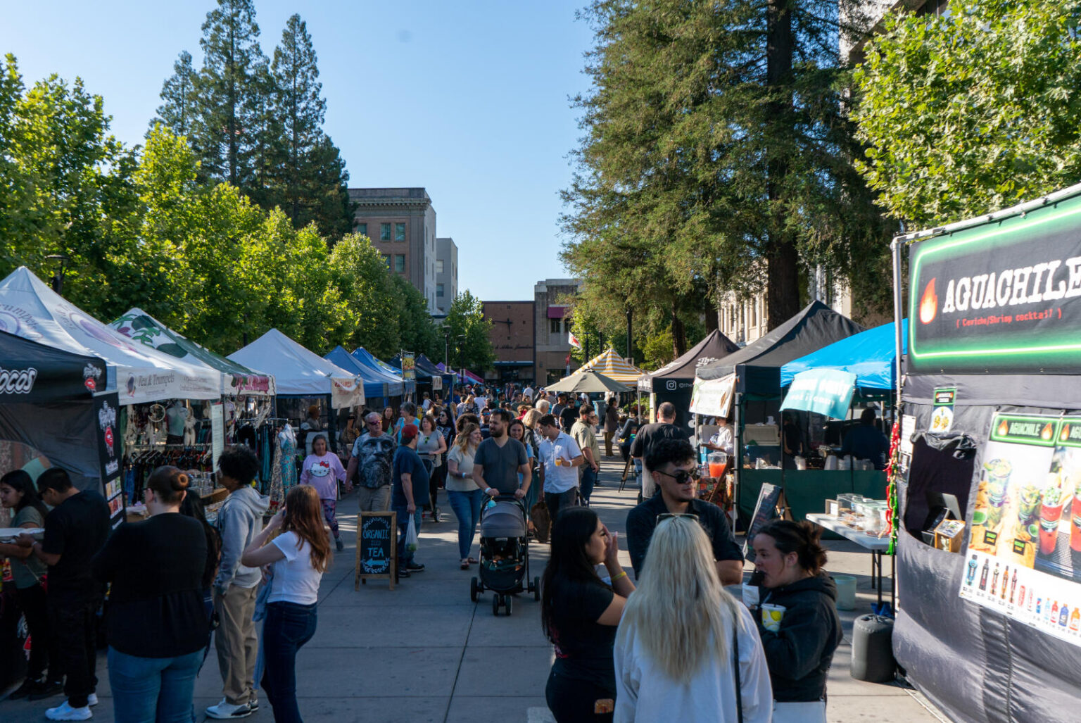 Santa Rosa eyes proposal to allow public drinking downtown in ‘entertainment zones’