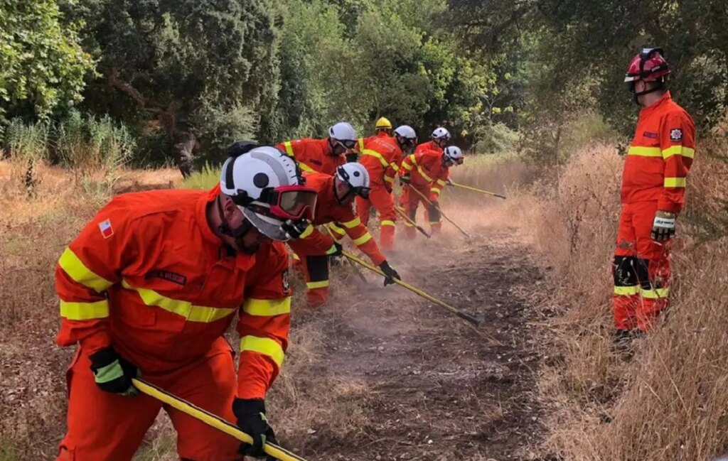 Maltese firefighters help battle Portugal wildfires