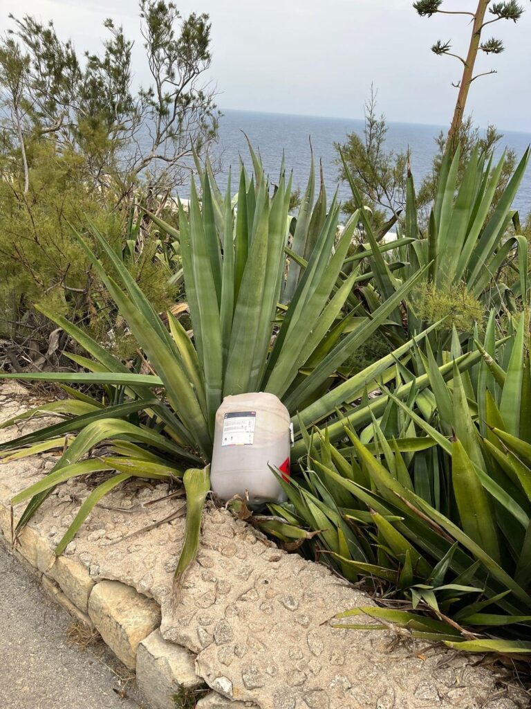 Jerrycans with weird liquid in nature