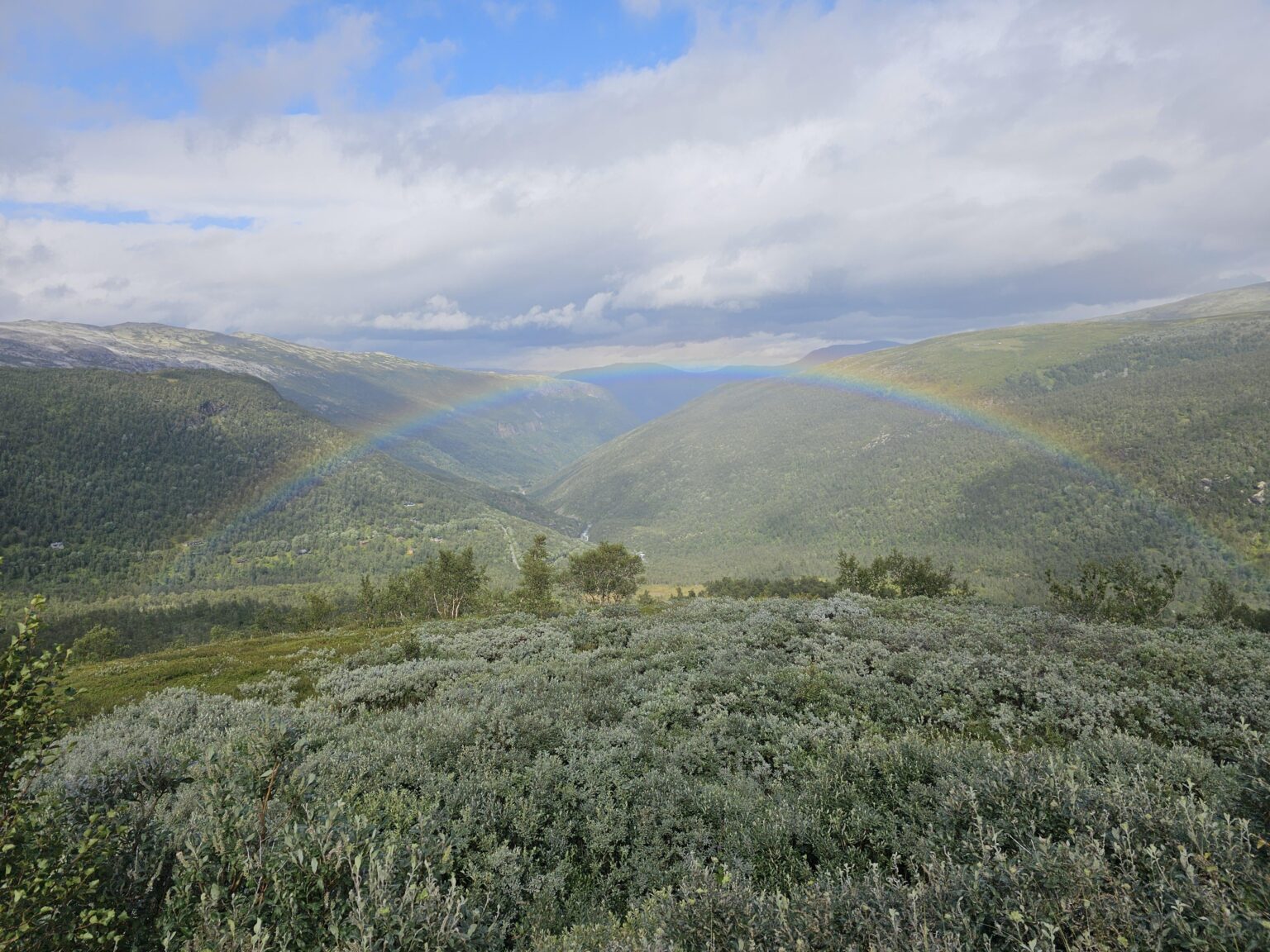 Caught a picture of a brief rainbow today!