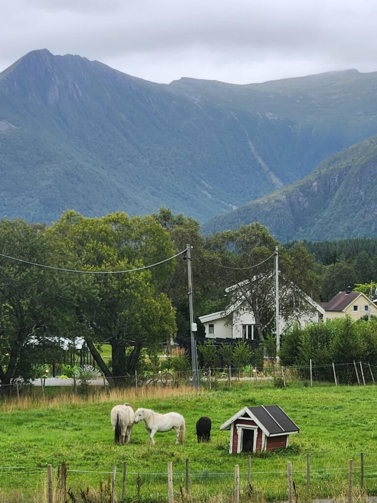 Norway, you were everything i imagined.