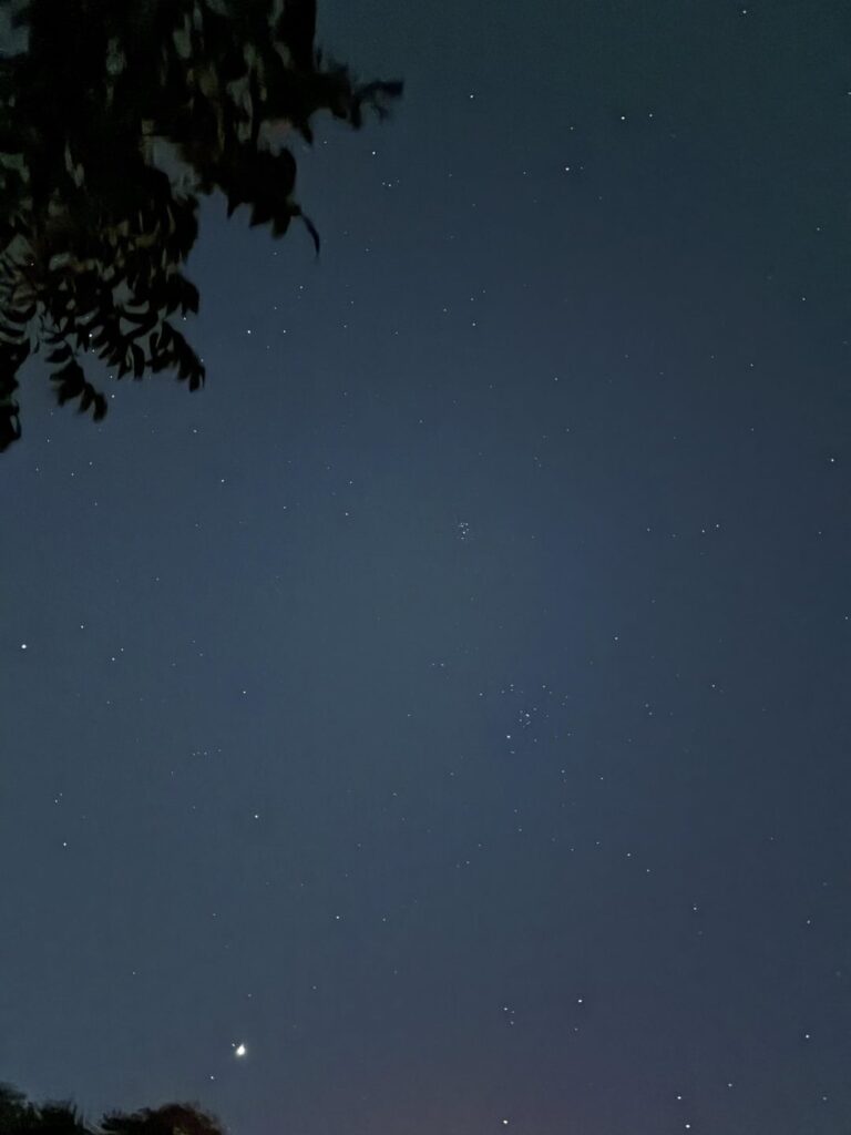 what are these “?” stars?