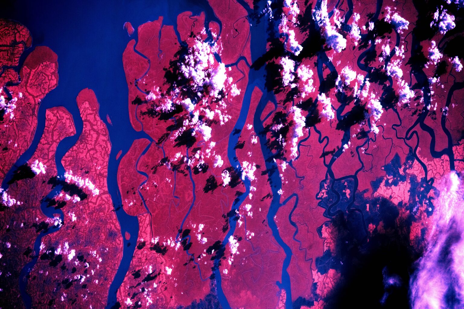 Photographing the Ganges river in near-infrared from the ISS