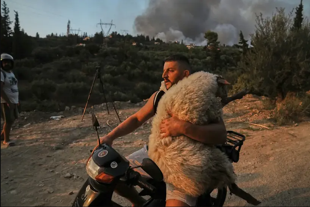 From starving children in Gaza to the Albanian hero in Greece, the BBC publishes