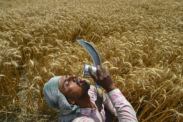 From starving children in Gaza to the Albanian hero in Greece, the BBC publishes
