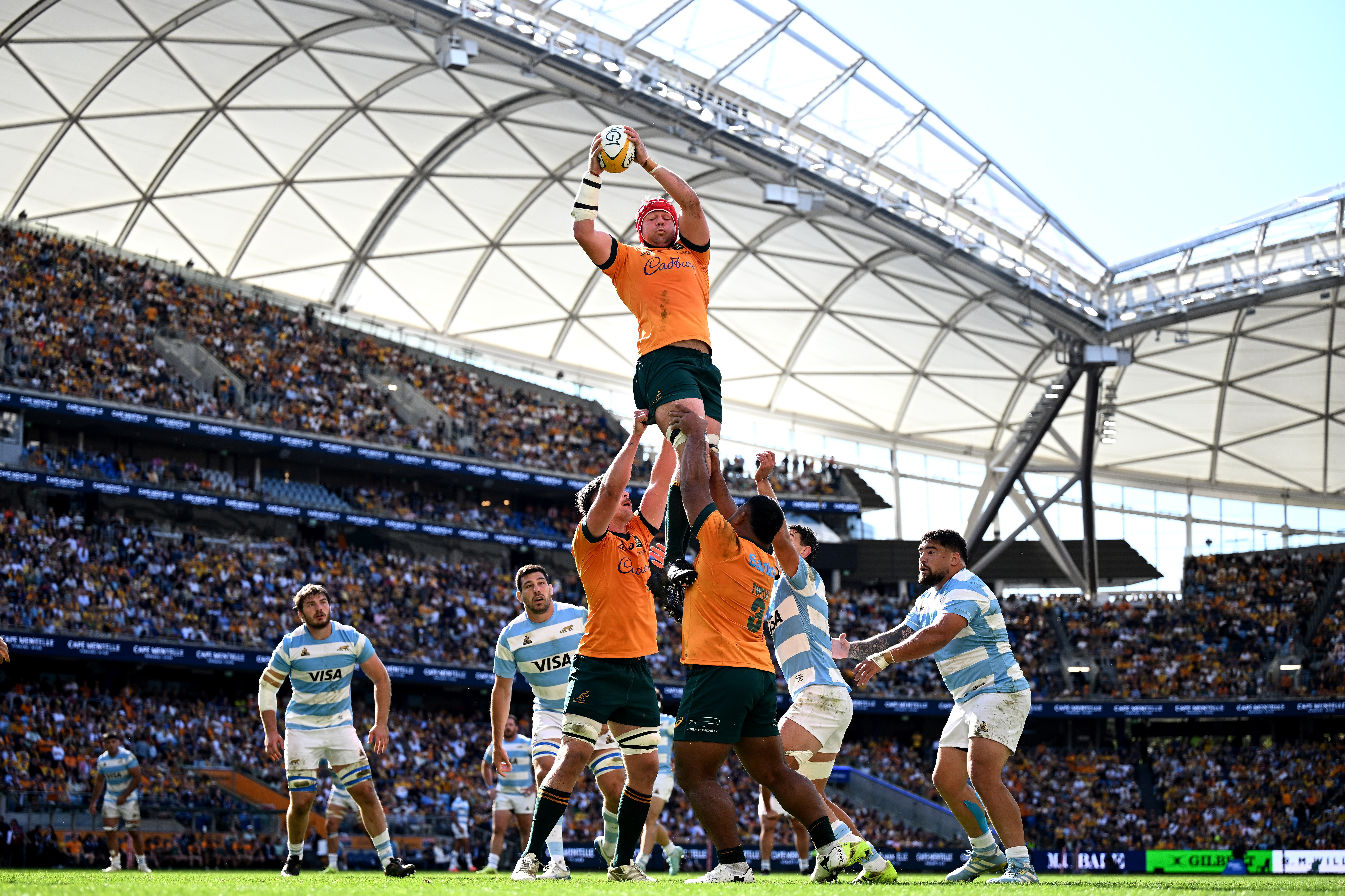 Harry Wilson of Australia catching a line-out ball during a rugby match against Argentina.