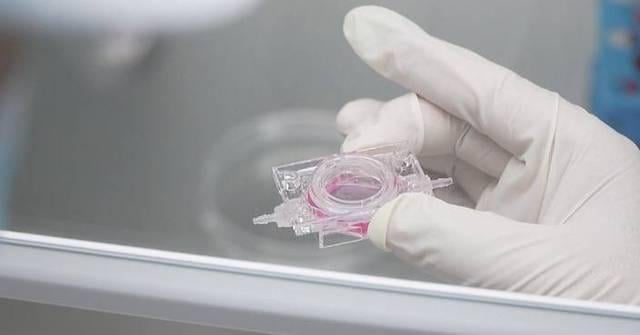 Experiments in China's space station create new path for treating brain disorders