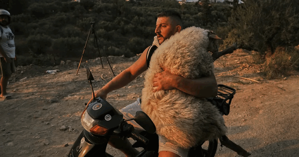 From starving children in Gaza to the Albanian hero in Greece, the BBC publishes the most iconic photos of 2025