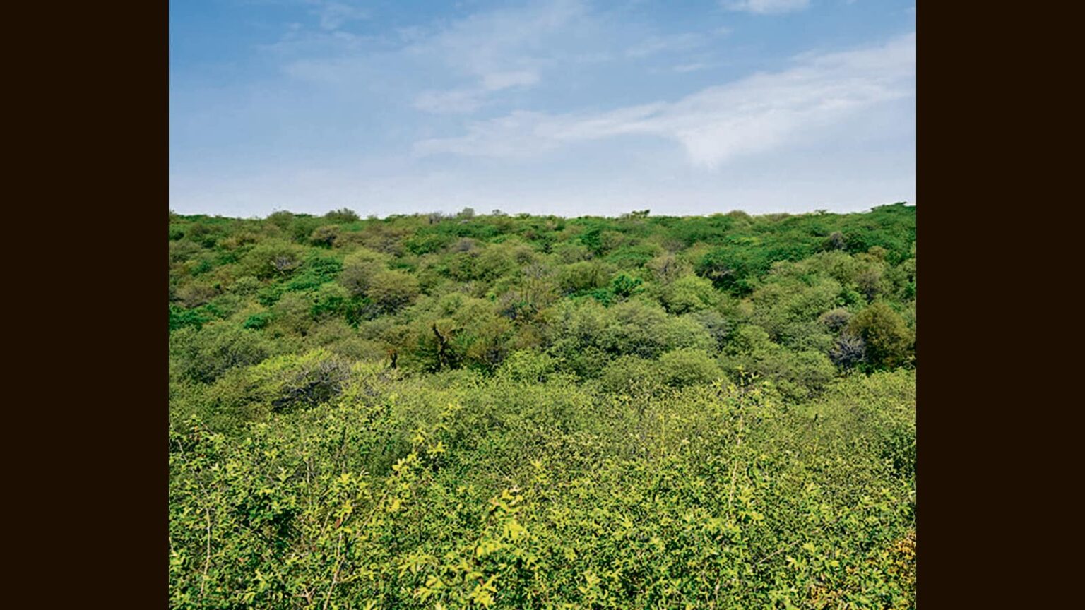 Centre forms environment auditing framework | Latest News India