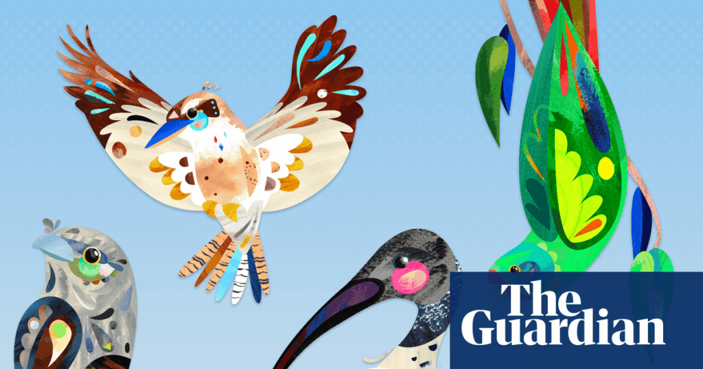 Australian bird of the year 2025: nominate your favourite now | Australian bird of the year 2025