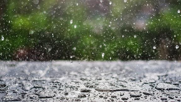 Less rain in precipitation year ending 31 August