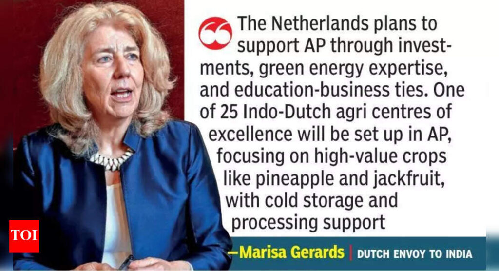 Netherlands eyes deeper ties with AP in green energy, ports, agritech | Vijayawada News Netherlands eyes deeper ties with AP in green energy, ports, agritech | Vijayawada News