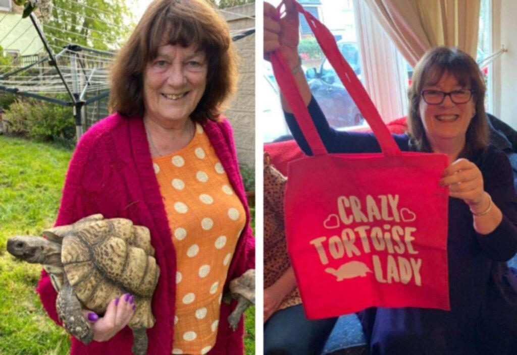 ‘Crazy tortoise lady’ from Bishop’s Stortford devastated as thief breaks into garden to steal 20 of her precious pets