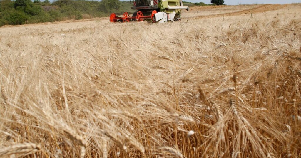 Which farmers should the EU save? Let the battle begin. – POLITICO Which farmers should the EU save? Let the battle begin. – POLITICO