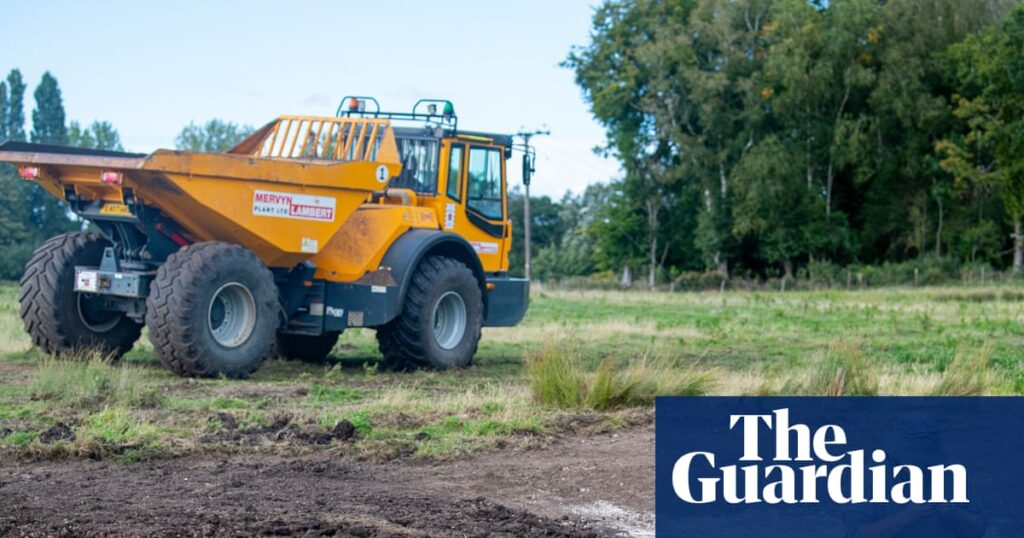 ‘Just add water’: how to bring back ancient plants in a Norfolk ghost pond | Wildlife