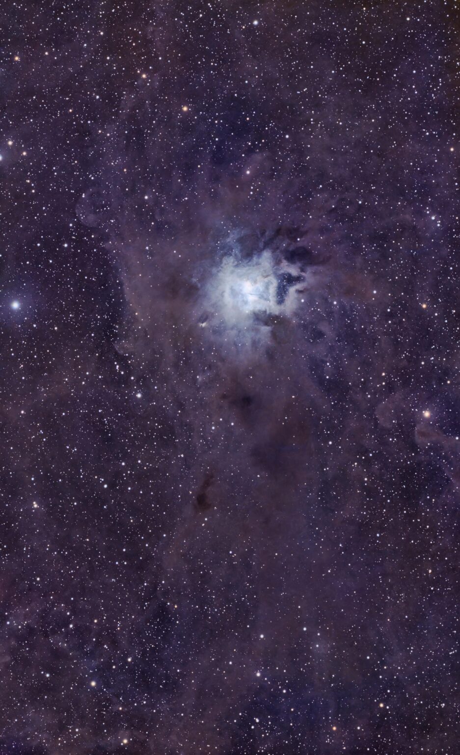 Iris Nebula Captured From My Bortle 7 Backyard [OC]