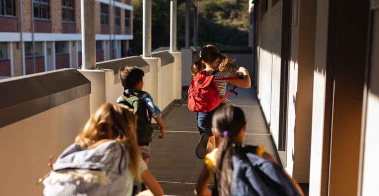Report "School ecosystem" of Legambiente: in 2024 only 47% of buildings have the certificate of usability